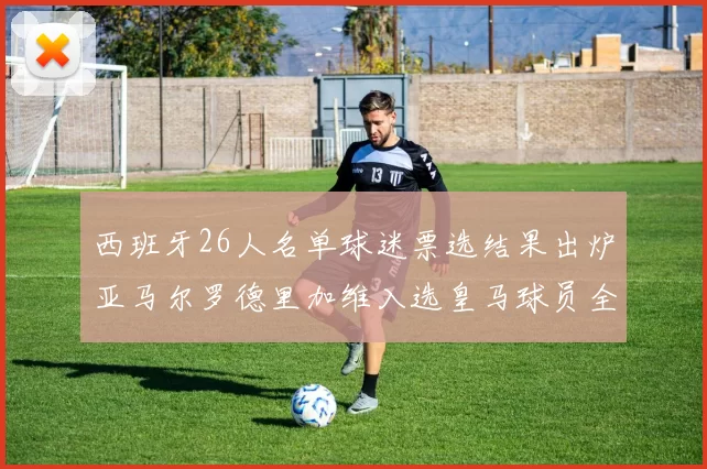 西班牙26人名单球迷票选结果出炉亚马尔罗德里加维入选皇马球员全无